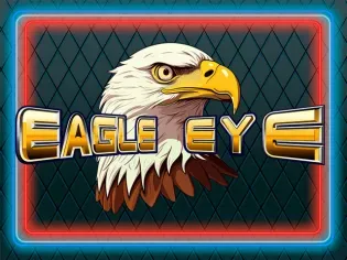 Eagle Eye game cover