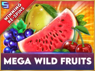 Mega Wild Fruits game cover