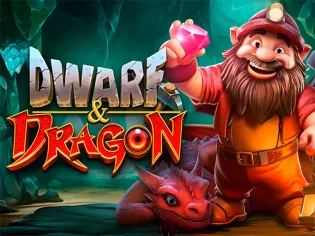 Dwarf & Dragon game cover